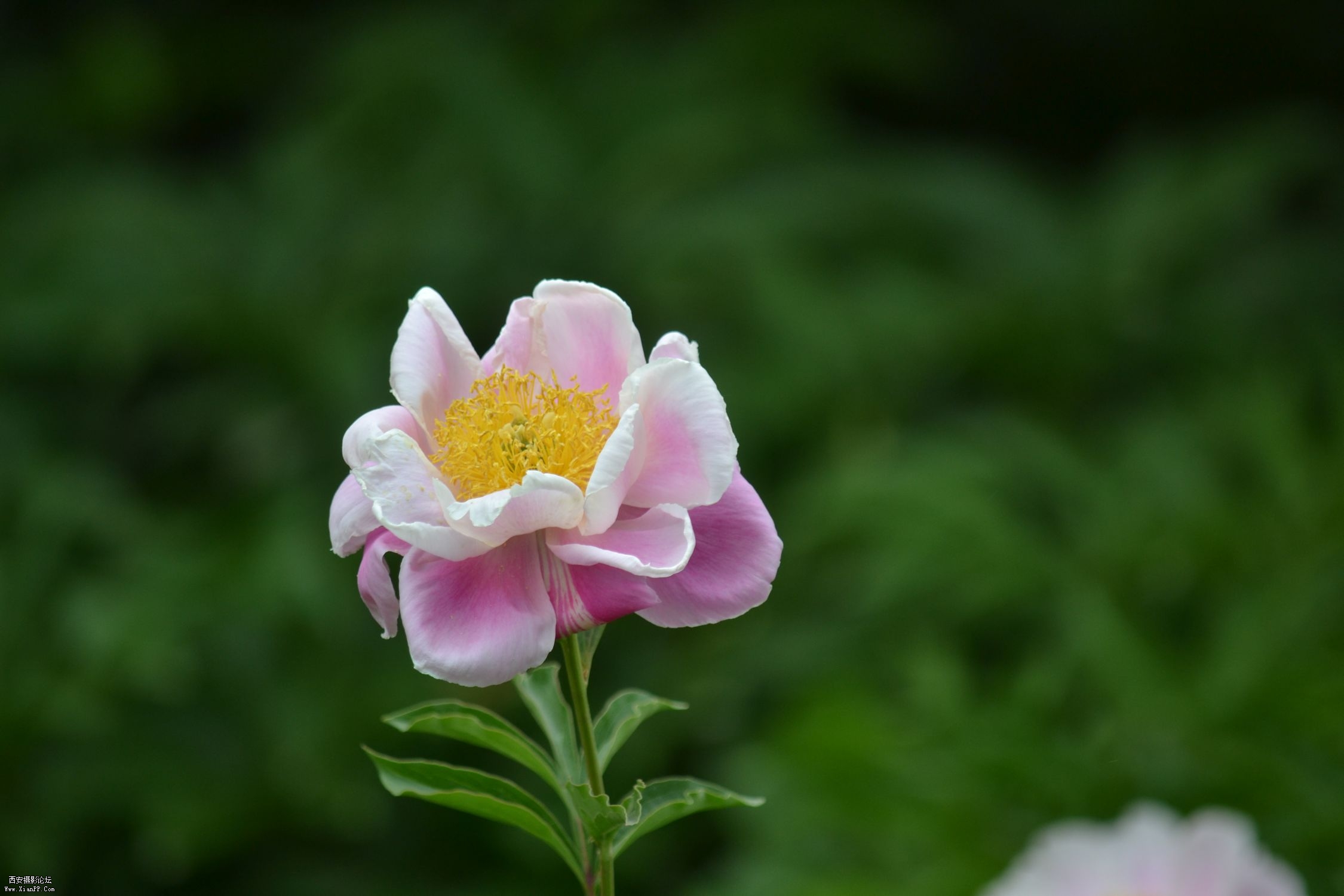 DSC_0128.jpg