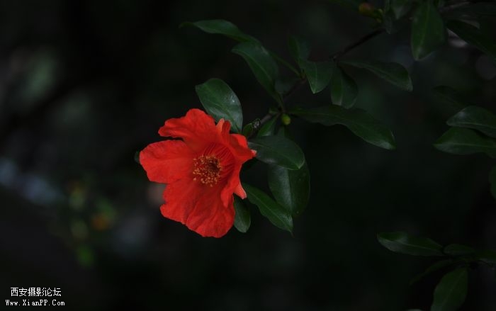 DSC_0190.jpg