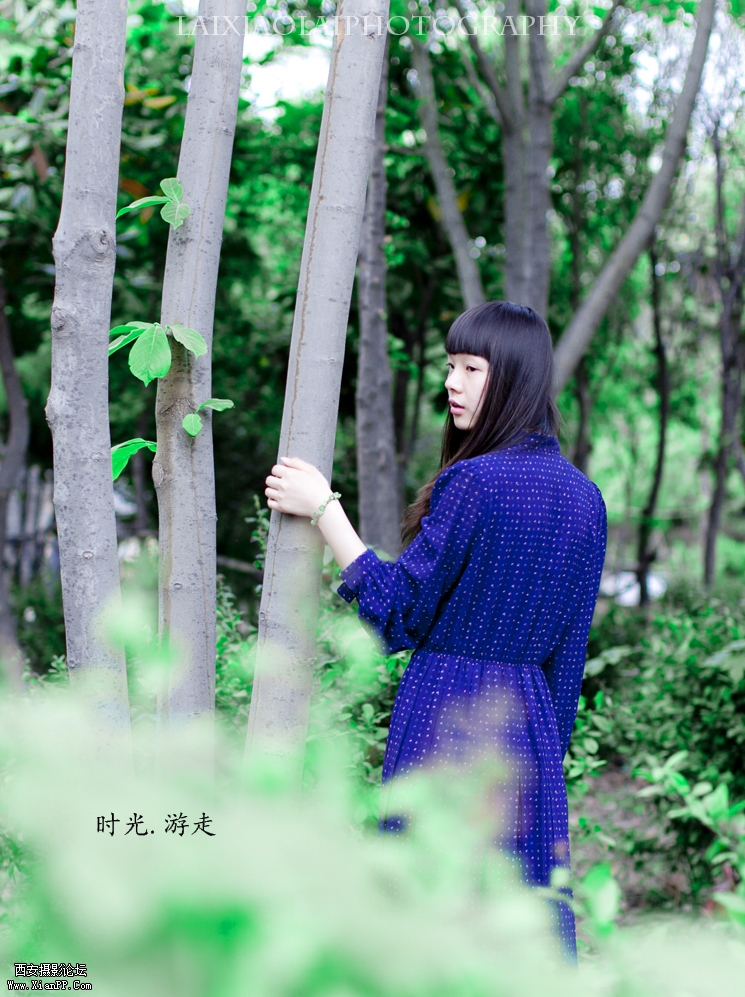 论坛1.jpg