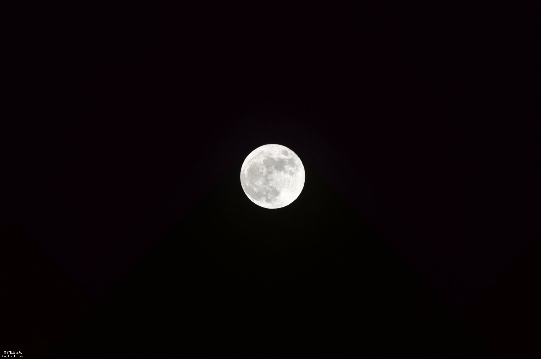 DSC_0009.jpg