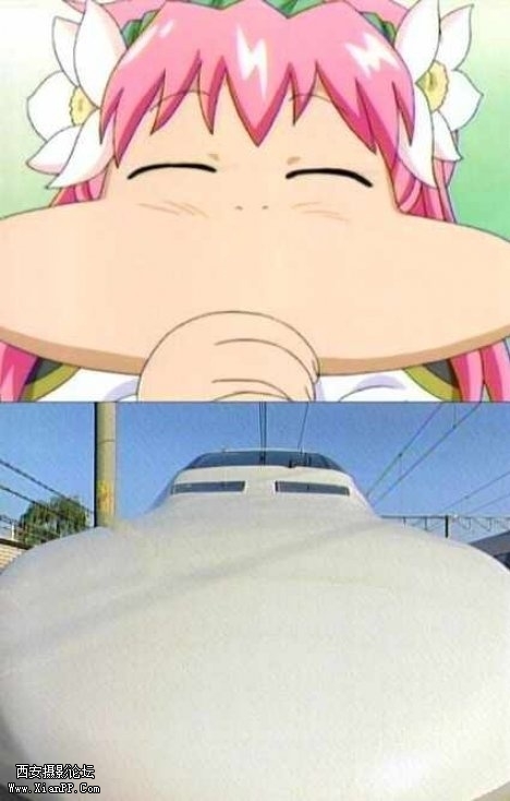 p_large_xf9u_25dd00010b825c3f.jpg