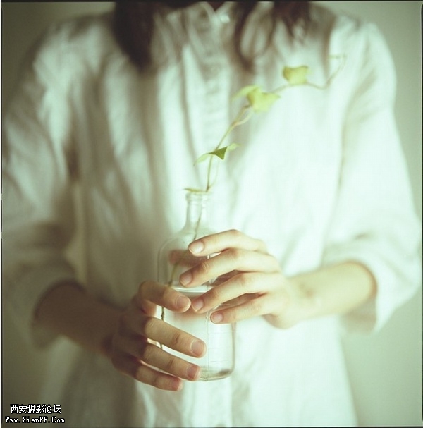 p_large_3CcQ_785d000cf8a05c16.jpg