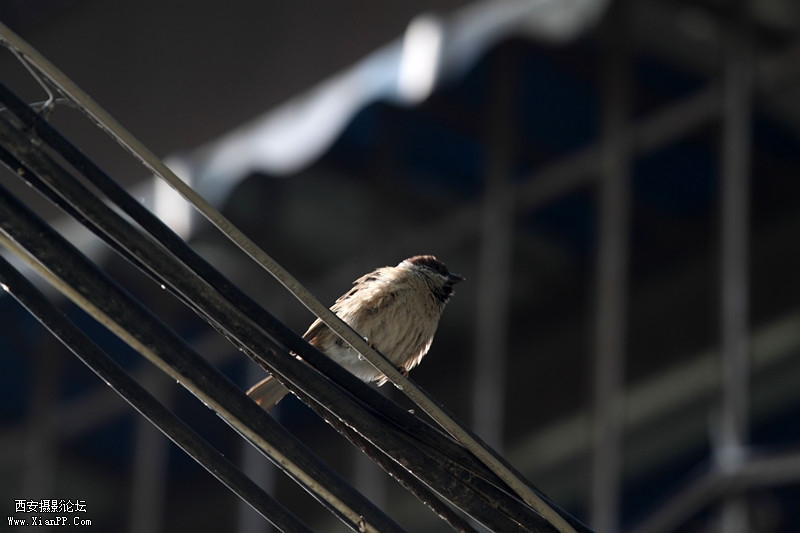 201105250857_副本.jpg