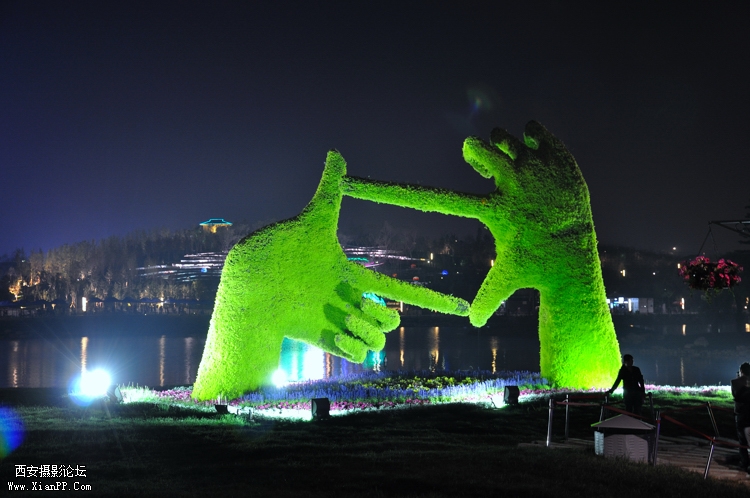 DSC_0063.jpg