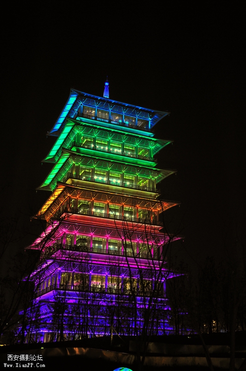 DSC_0084.jpg