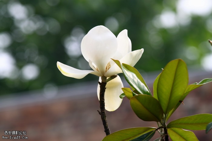 201105281430_调整大小.JPG