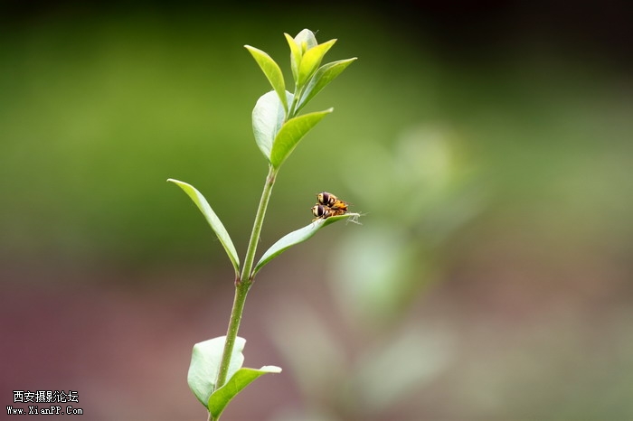 201105281434_调整大小.JPG