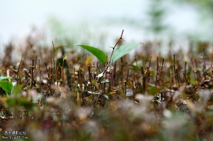 201105281454_调整大小.JPG