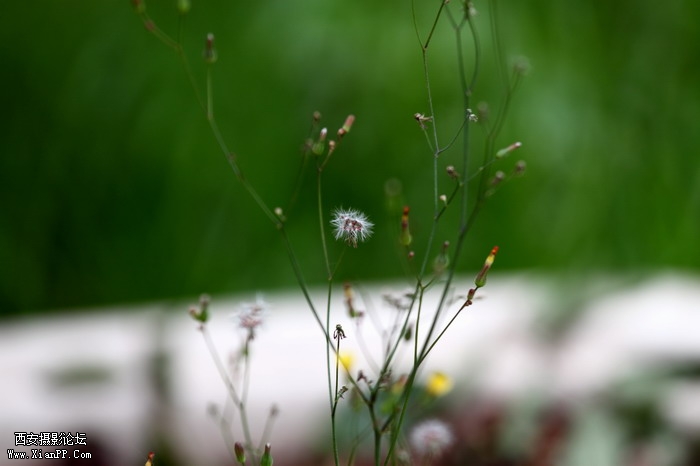 201105281457_调整大小.JPG