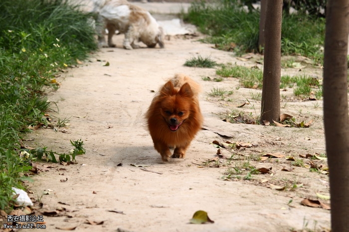 20110528一个人和一群猫1468_调整大小.JPG