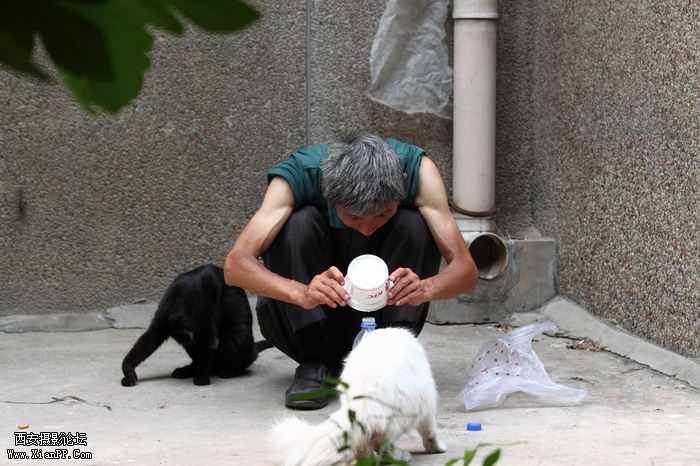 20110528一个人和一群猫1485_调整大小.JPG