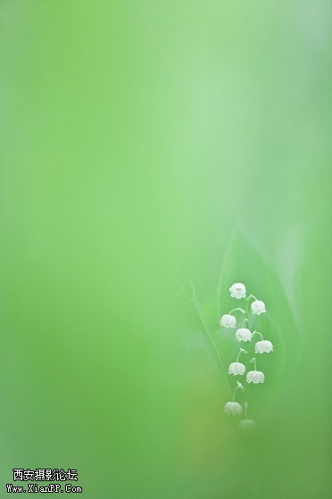 p_large_5Sdn_3b4c0003c4745c44.jpg