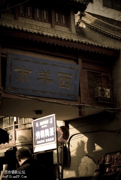 p_large_OLjH_17aa000ad2995c44.jpg