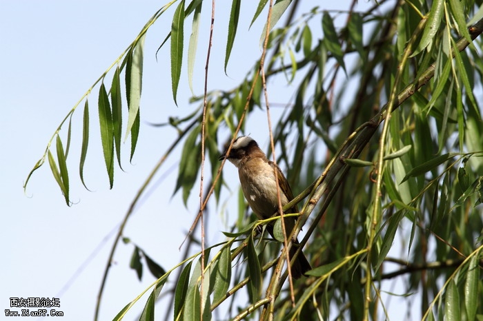 201105311600_调整大小.JPG
