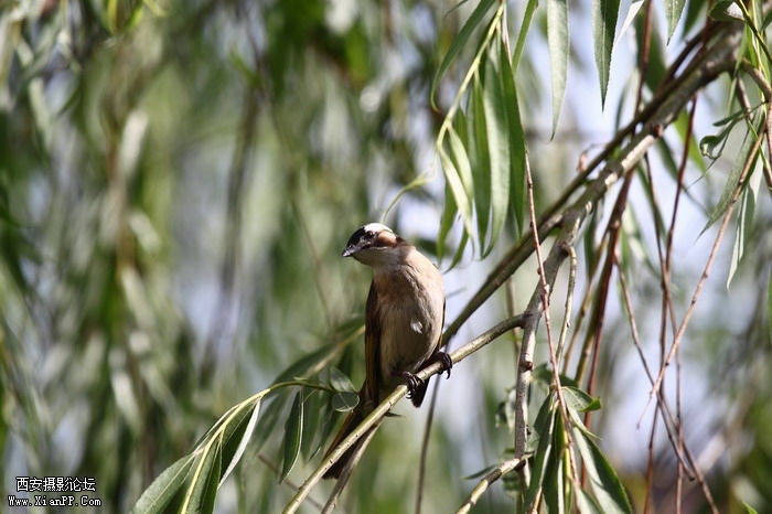 201105311605_调整大小.JPG