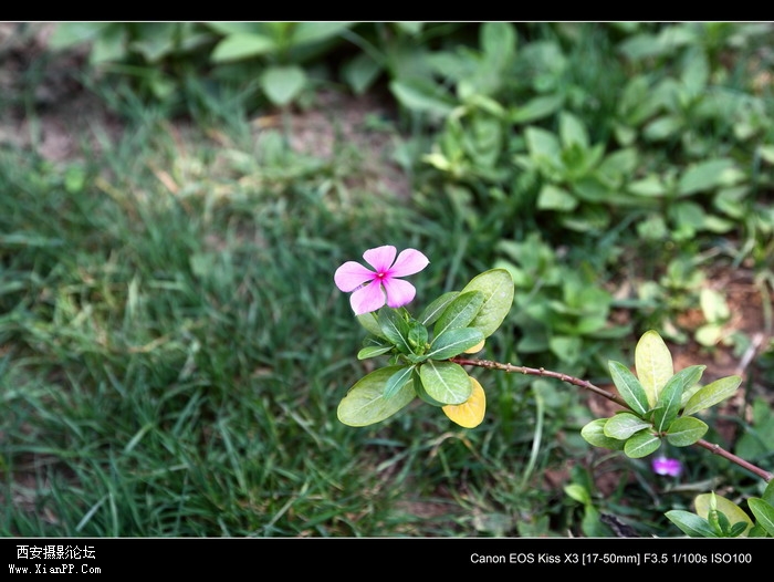 2011061 17-50mm1890_调整大小.JPG