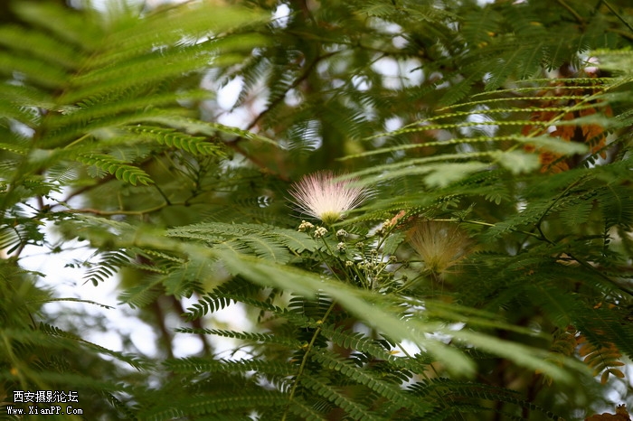 2011061 17-50mm1892_调整大小.JPG