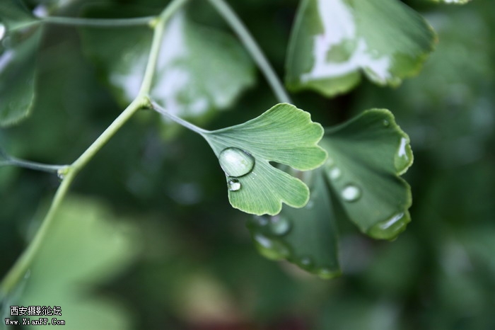 201106081969_调整大小.JPG
