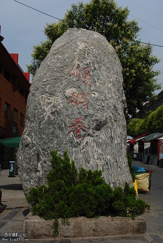DSC_0gffg08_副本.jpg