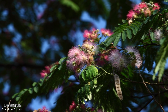 201106101989_调整大小.JPG