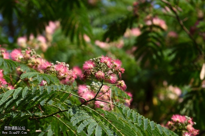201106101990_调整大小.JPG