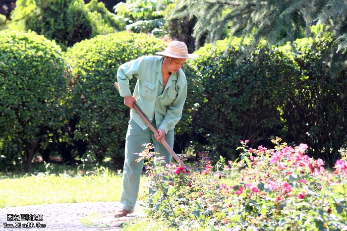 201106101992_调整大小.JPG