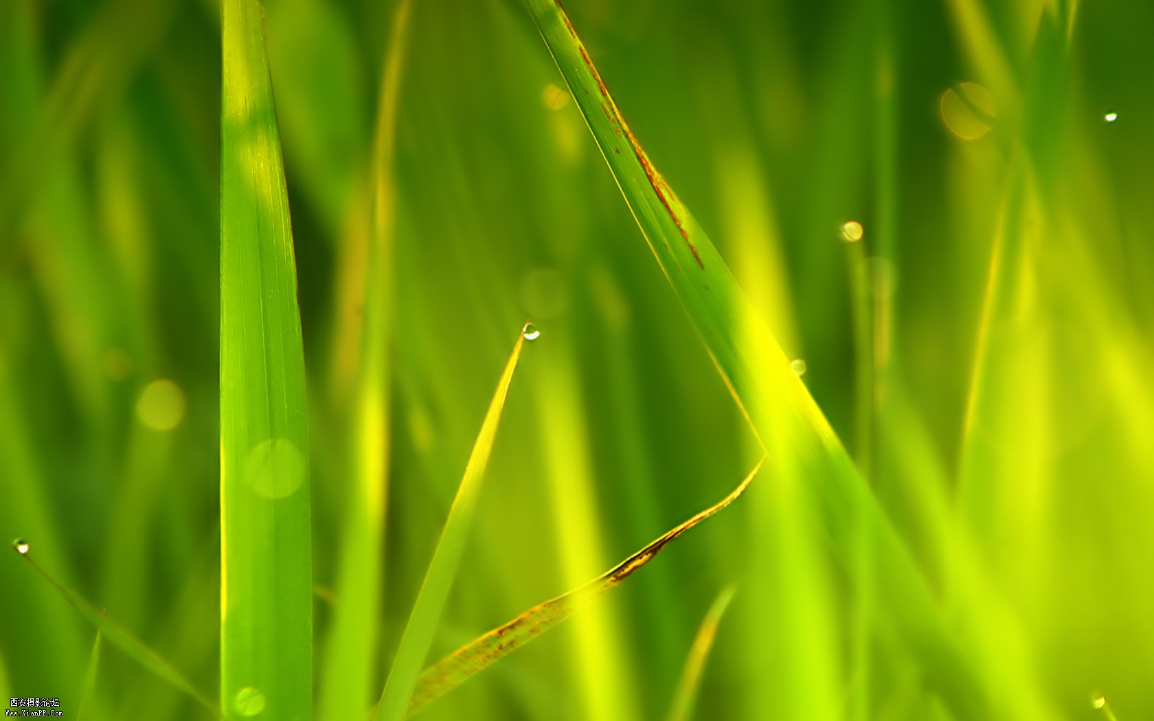 20090417_6b4ea056bf7615eedc427dbc229WNiYO.jpg