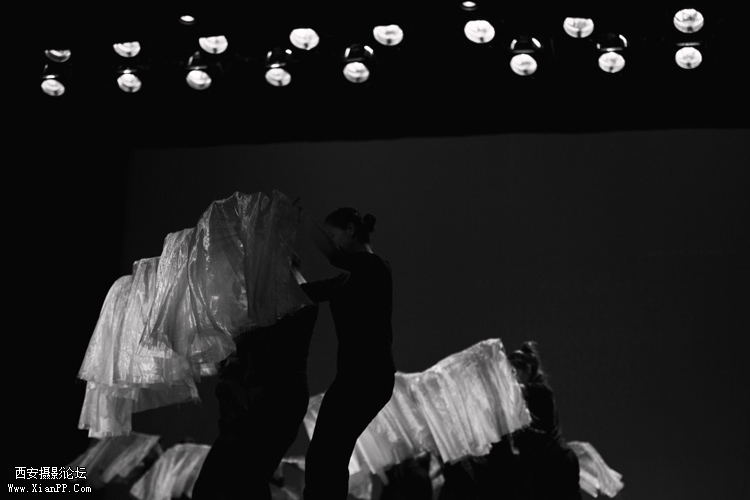 img1_src_3072535.jpg