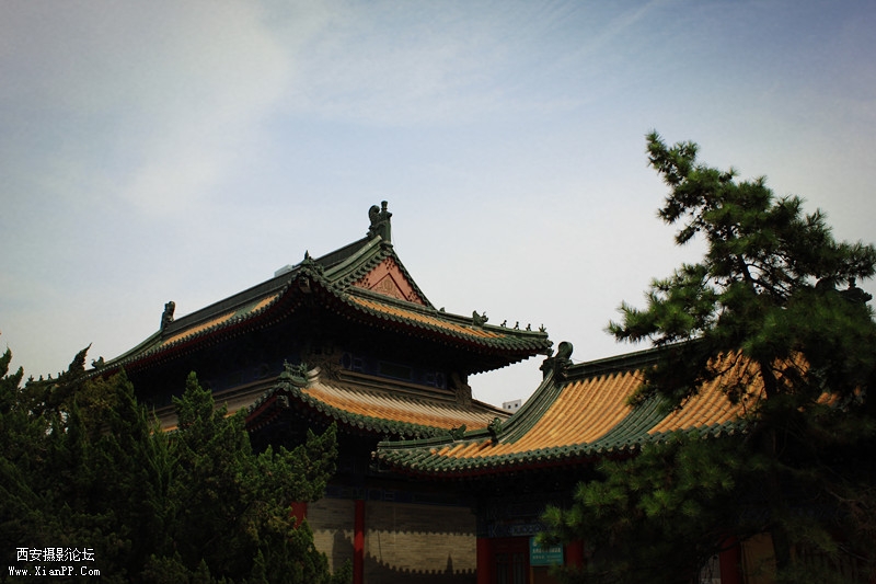 IMG_0543_副本.jpg