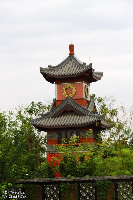 20110617世园会夜景2193_调整大小.JPG