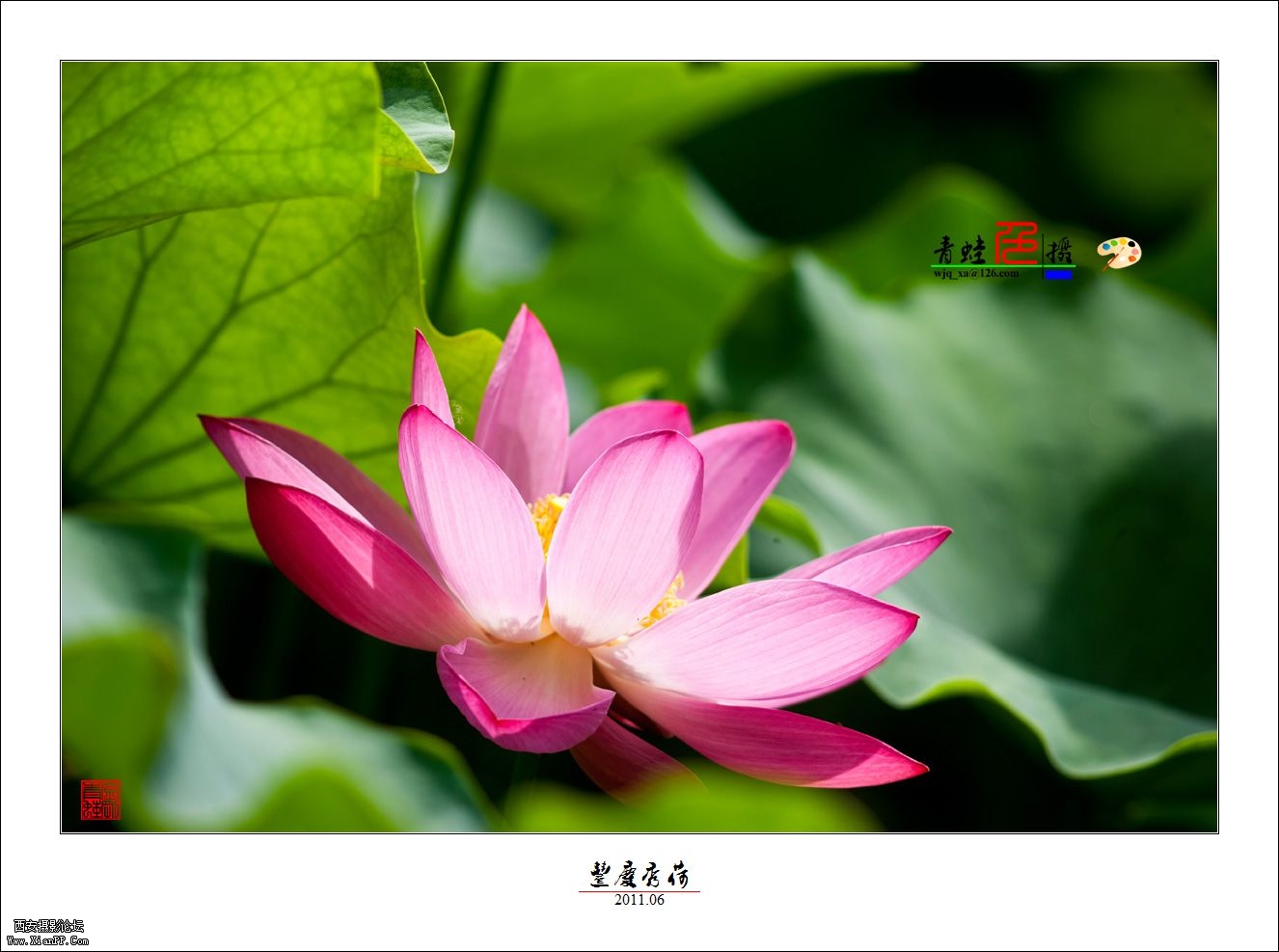 DE5M0249 副本.jpg