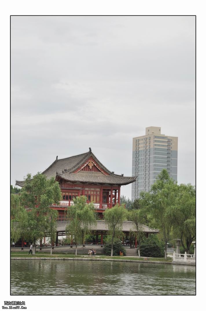 调整大小 DSC_3111.jpg