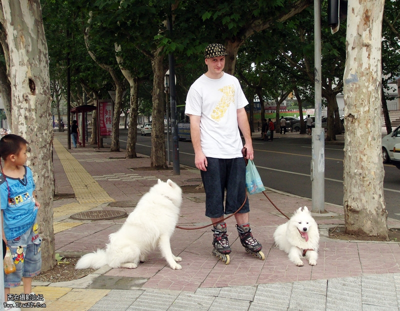 DSC00864.jpg