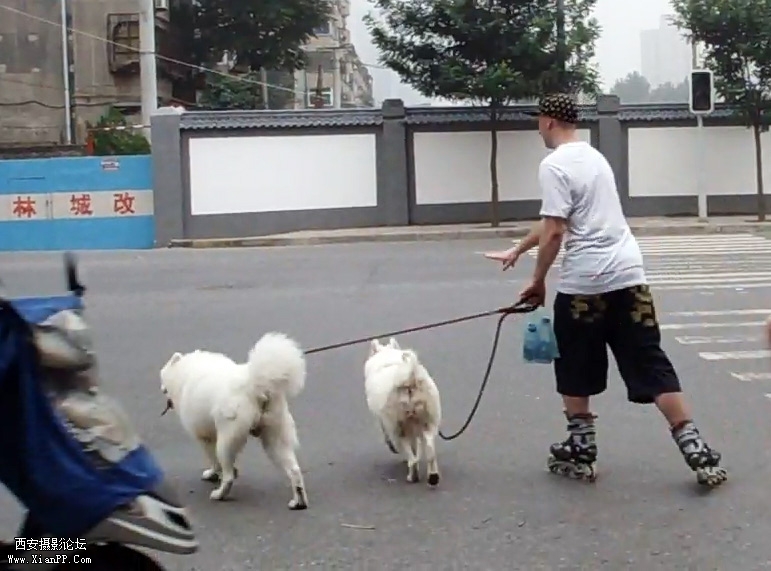 MAH00865[20110622-0910210].jpg