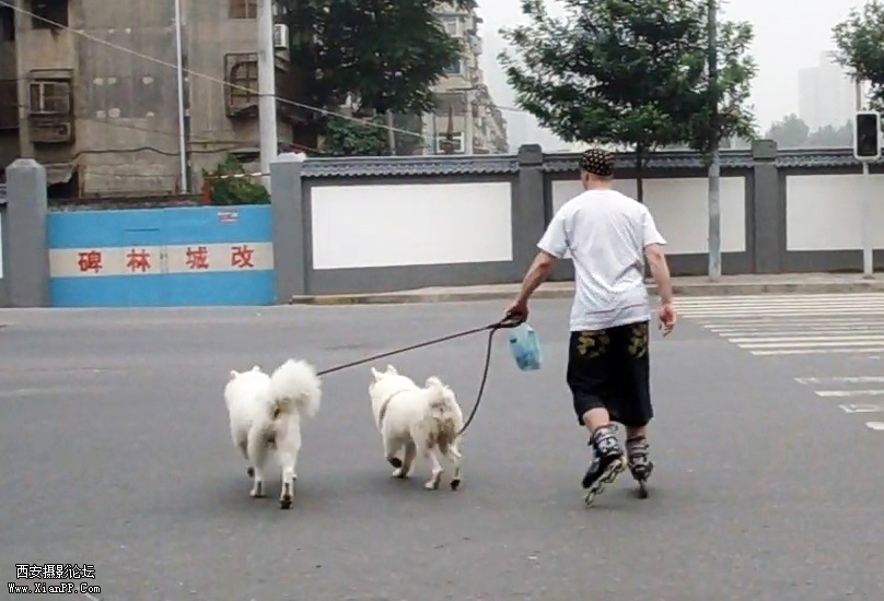 MAH00865[20110622-0910451].jpg