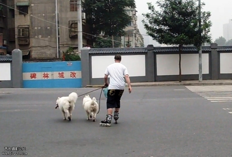 MAH00865[20110622-0911082].jpg