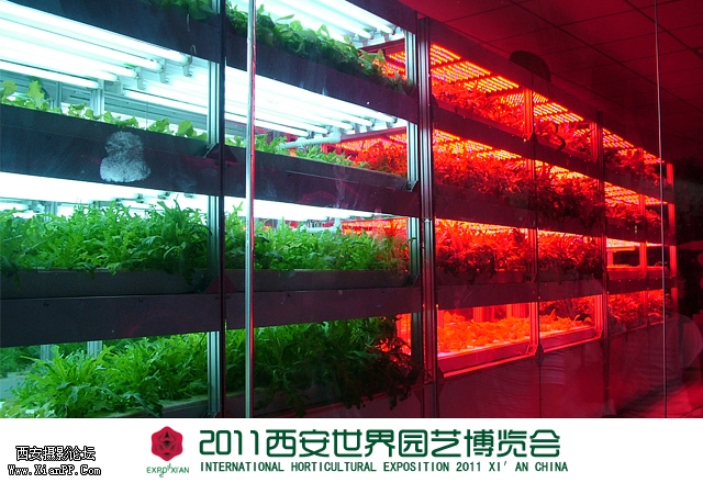 创意馆1.jpg