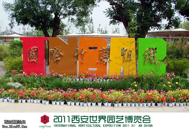 国际竹藤园.jpg