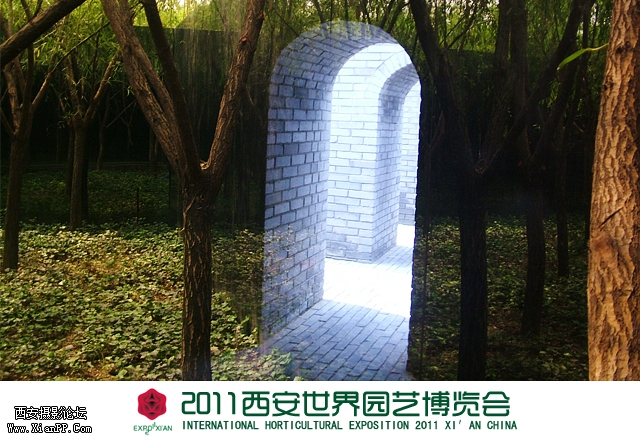 迷宫.jpg