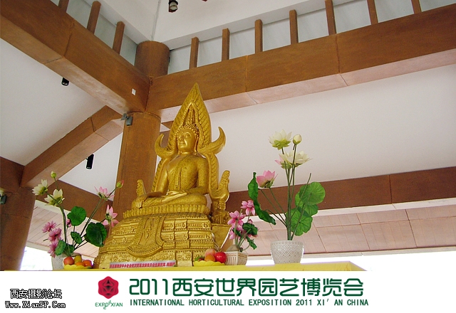 世园会1.jpg