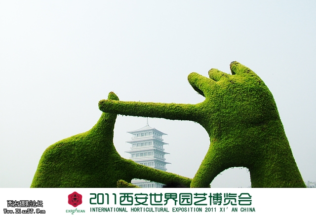 植物雕塑-聚焦长安1.jpg