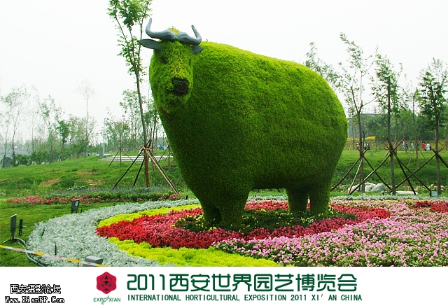 植物雕塑-羚牛.jpg