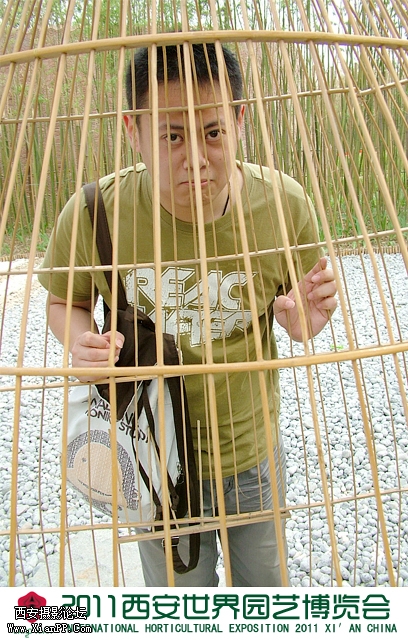 DSCF7782.JPG