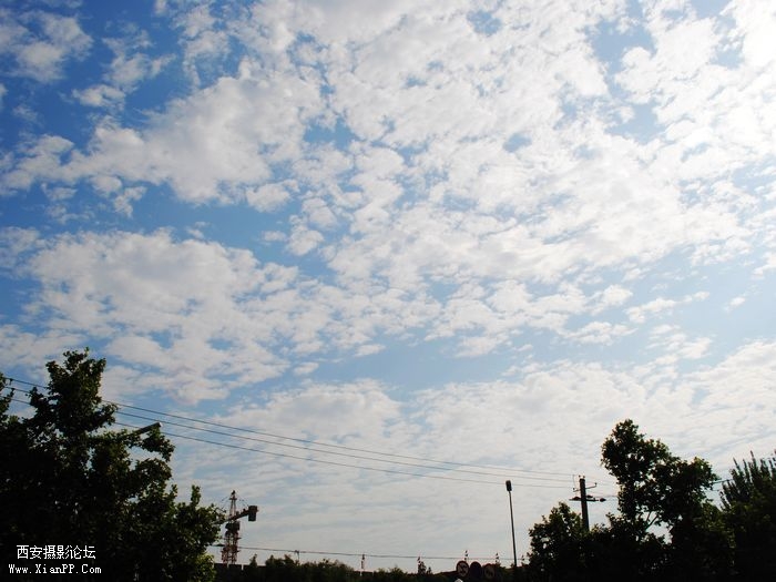 DSC_0005.jpg
