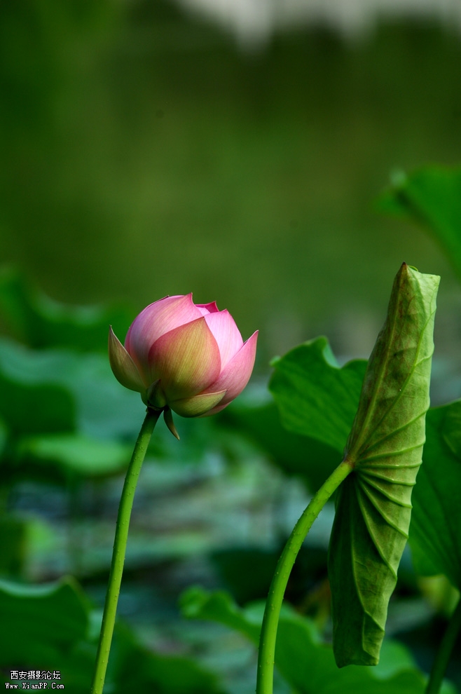 DSC_0029.JPG