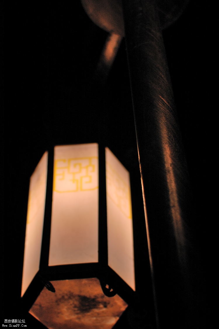 DSC_0044.jpg