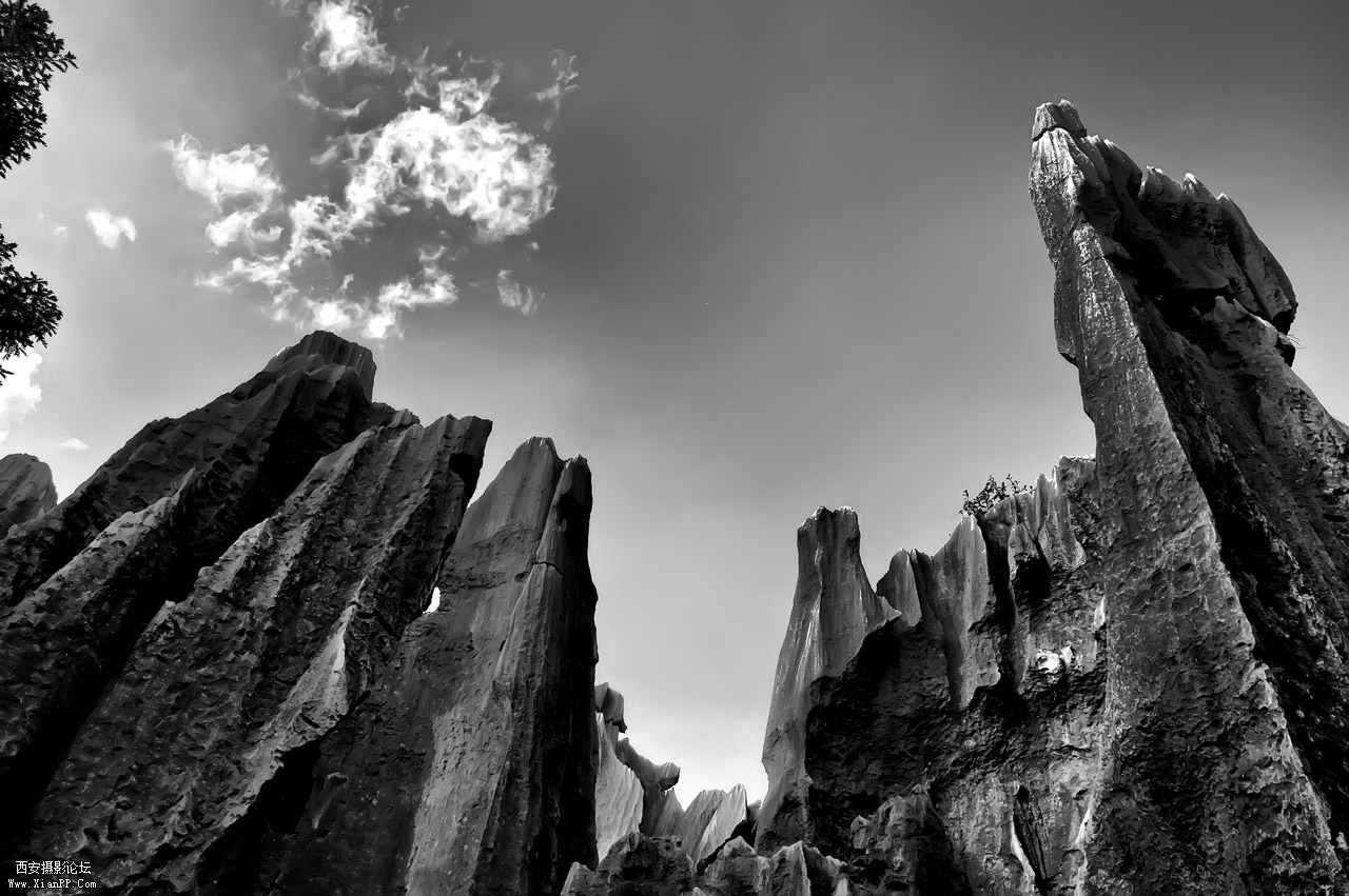 _DSC8881.jpg