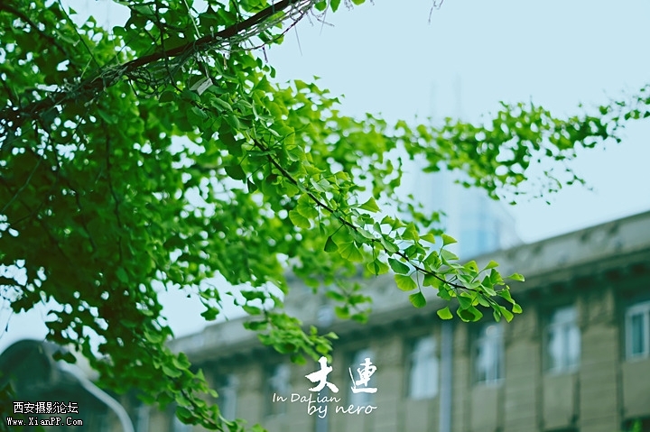 img1_src_2910894.jpg