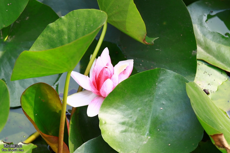 IMG_0281_调整大小.JPG
