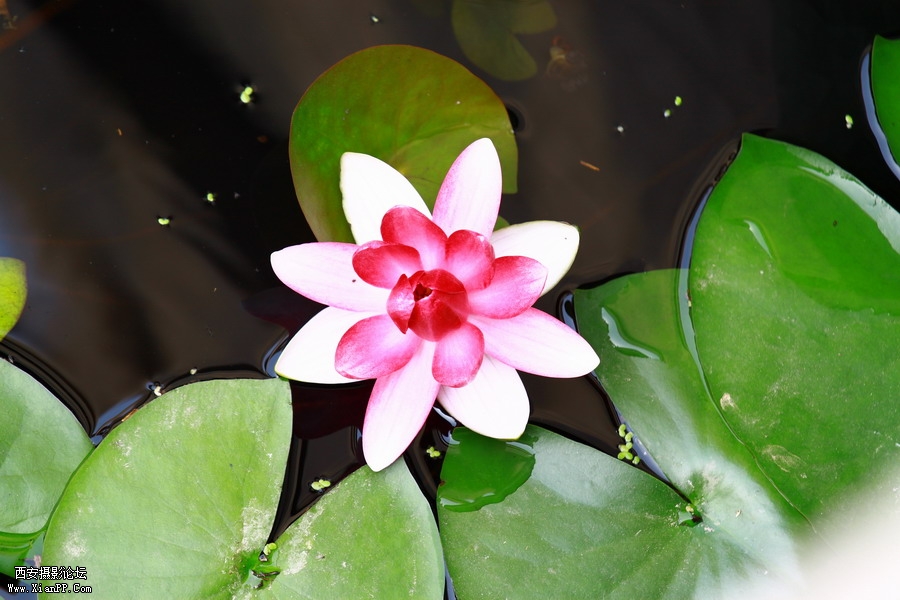 IMG_0287_调整大小.JPG